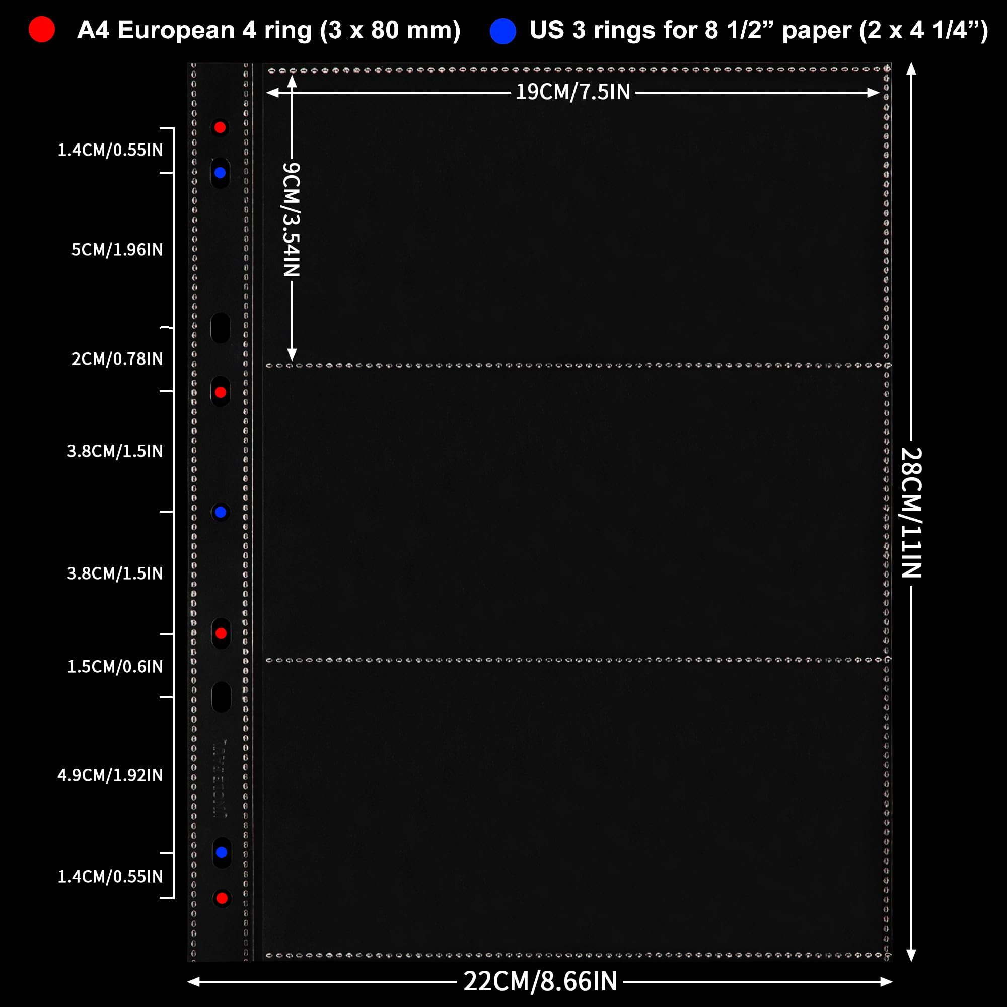 Amazon.com : 20 Sheets Currency Pages for Paper Money Collection